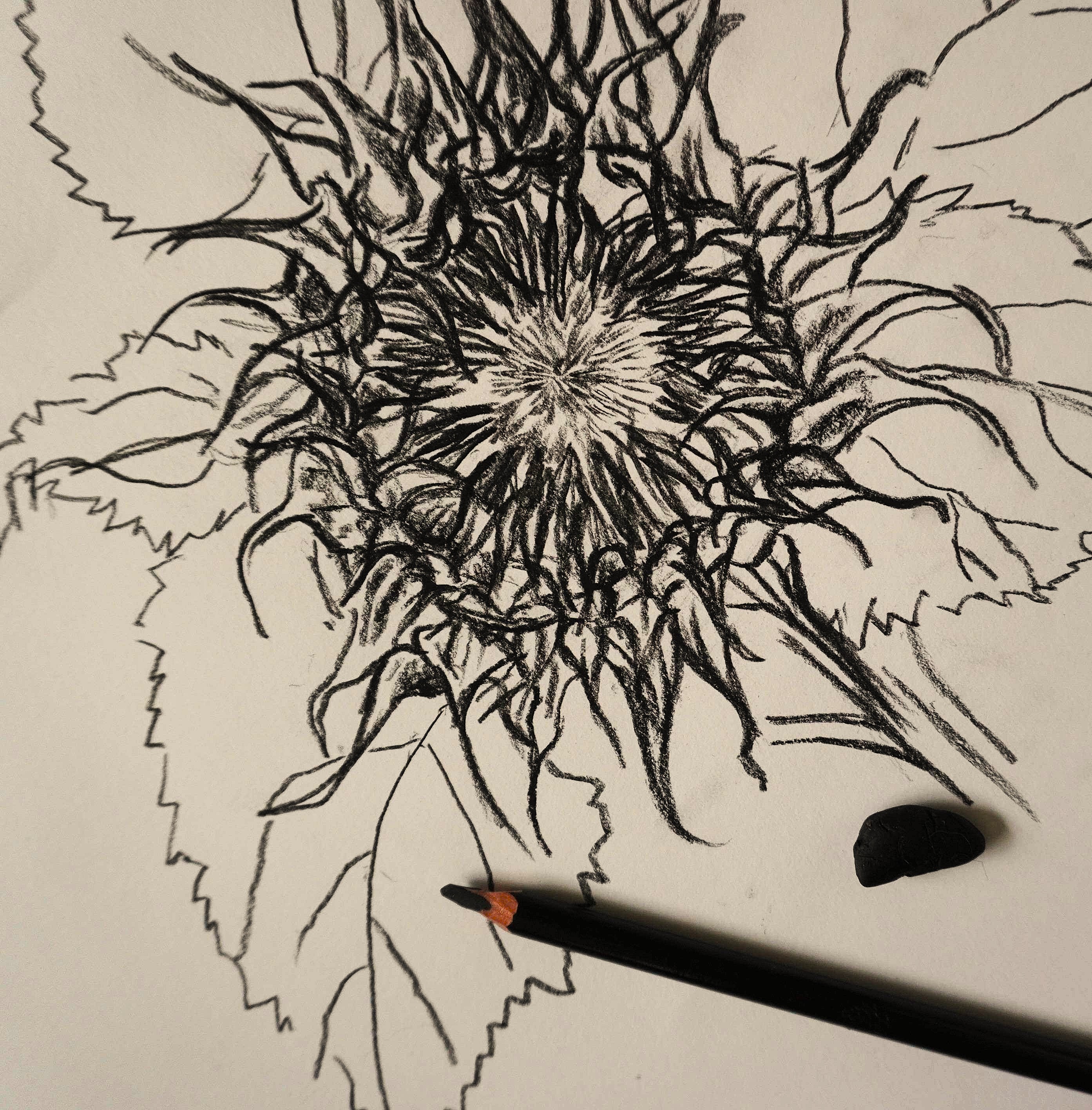 Private tuition and special events workshops for beginners